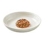 Isolated image of Encore Beed steak dog food in gravy on a plate