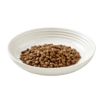 Isolated image of a bowl of Encore chicken dry cat food