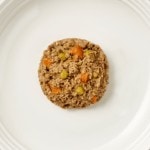 Aerial image of a plate of Encore beef dog food pate with vegetables