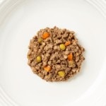 Close up aerial image of Encore lamb dog food pate with vegetables on a plate
