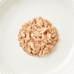 Close up aerial image of Encore ocean fish cat food on a plate