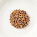 Close up aerial image of Encore turkey and chicken dog food pate with vegetables on a plate