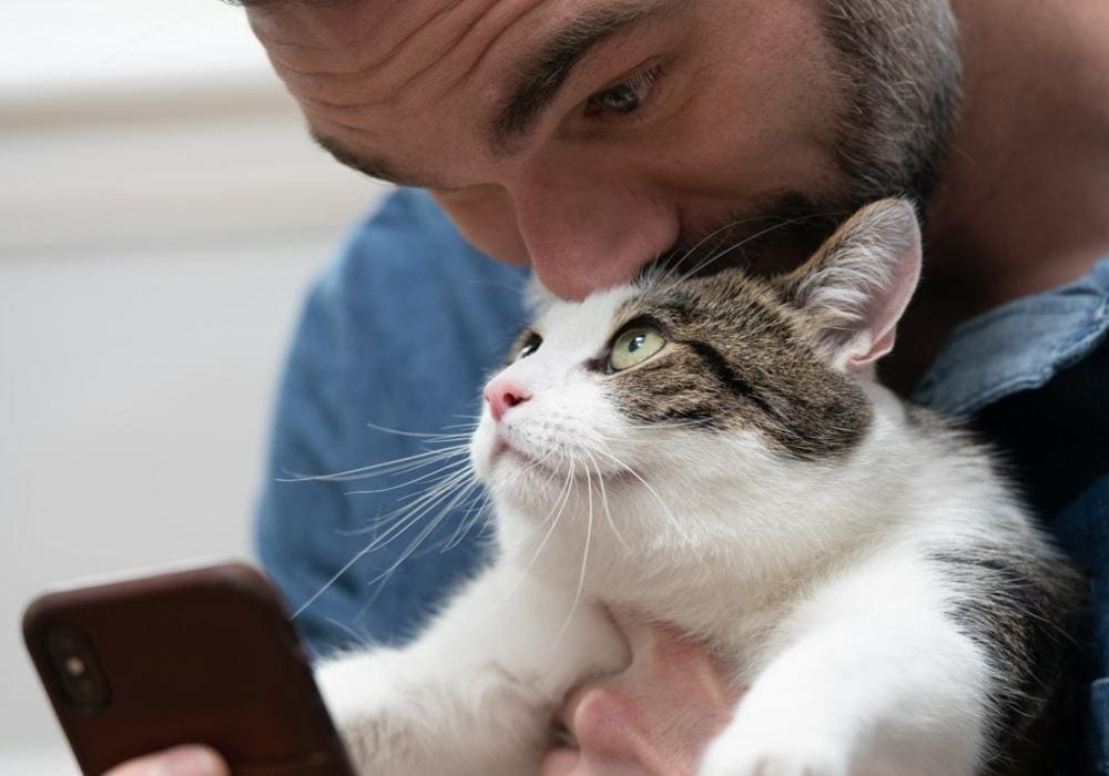 Photo for Encore Cat Huffer campaign of male cat owner hugging their cat