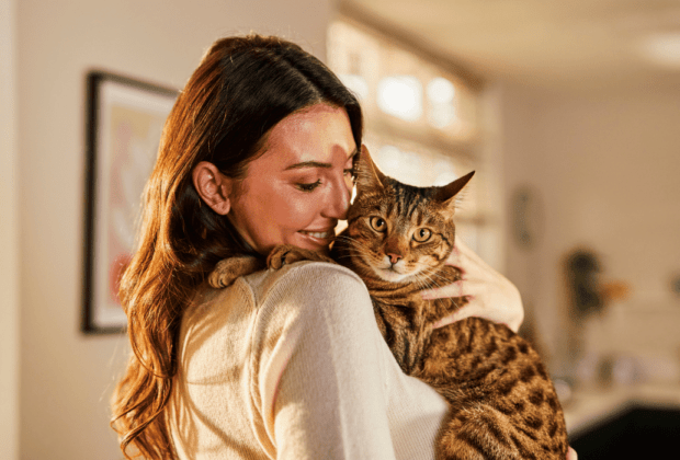 National Love Your Pet Day: How to show your cat you care
