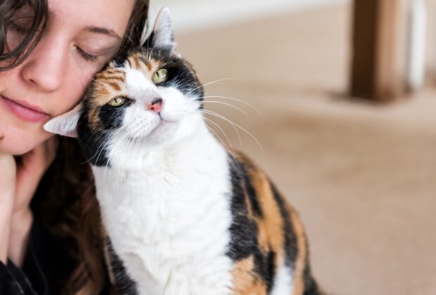 Why does my cat headbutt me?