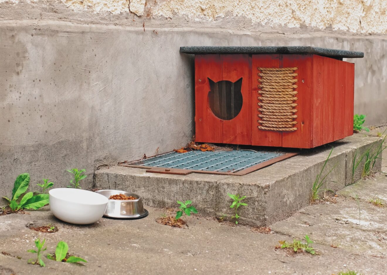 Outdoor cat shelter