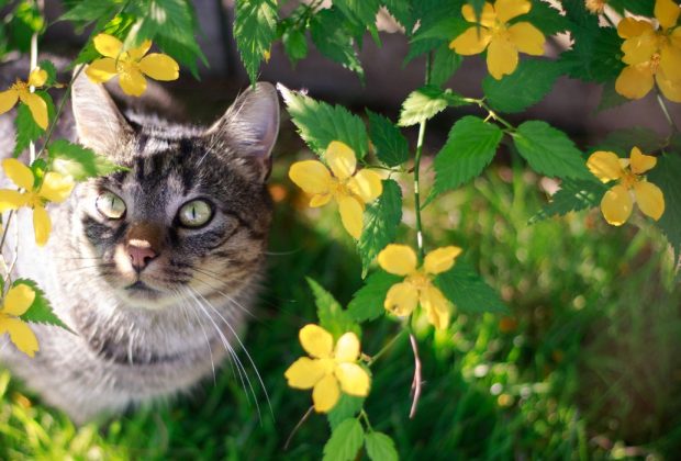What Health Changes to Look Out for After Winter